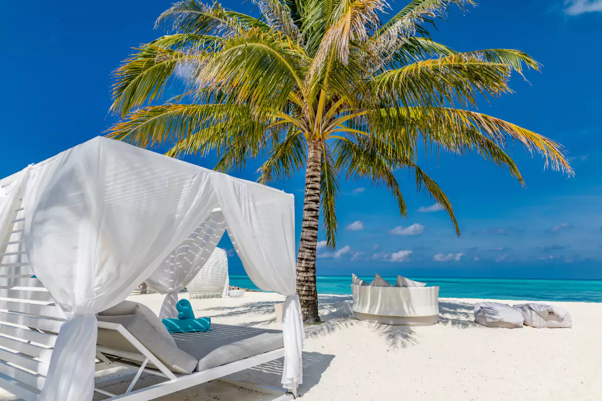 Beach Clubs & Cafe