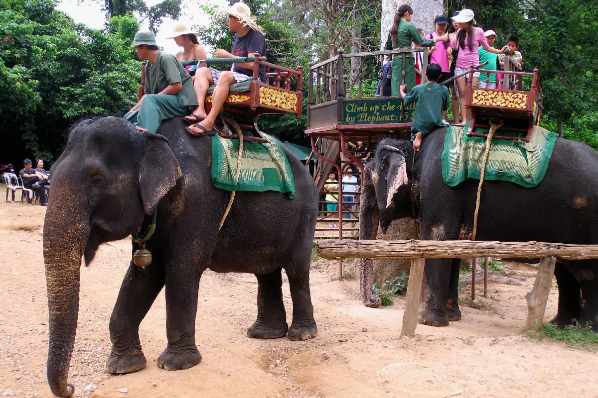 Chang Siam-Kratinglai Pattaya