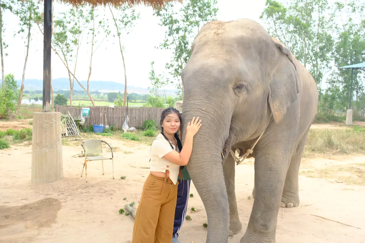 Elephant Jungle Sanctuary Pattaya