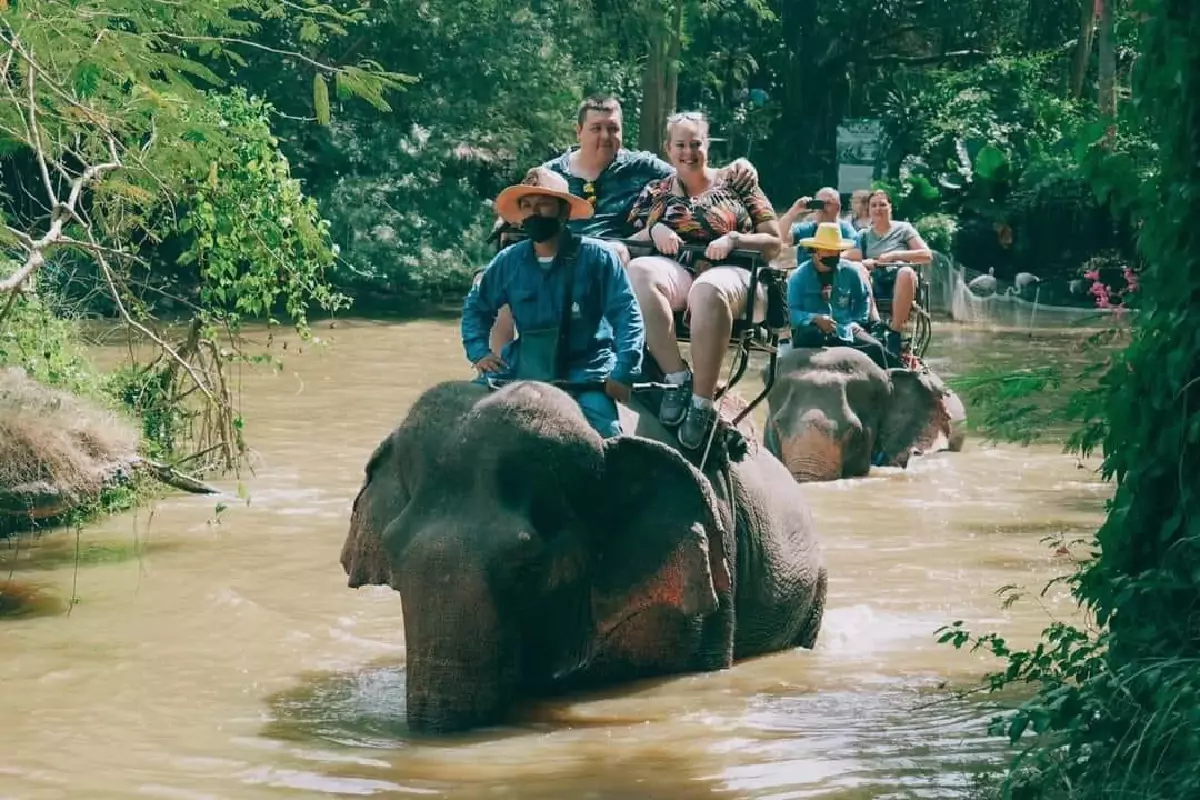 Elephant Village Pattaya And Mongchang Cafe
