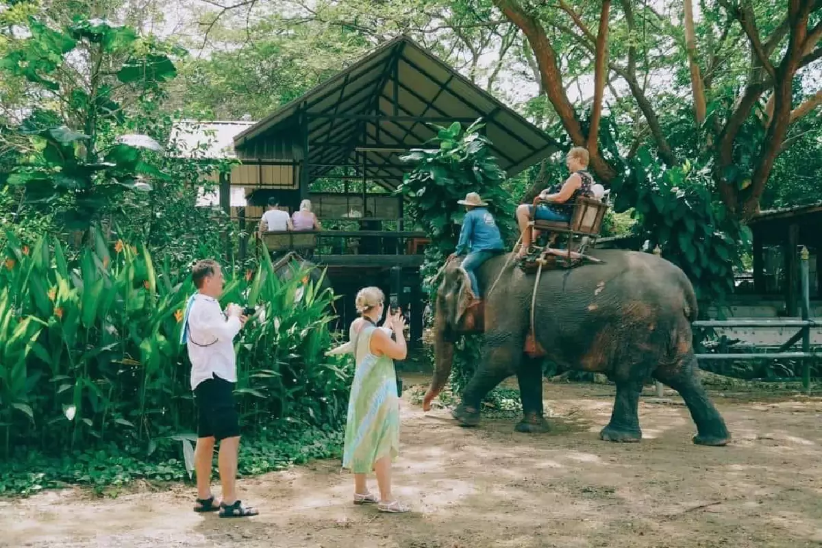 Elephant Village Pattaya And Mongchang Cafe