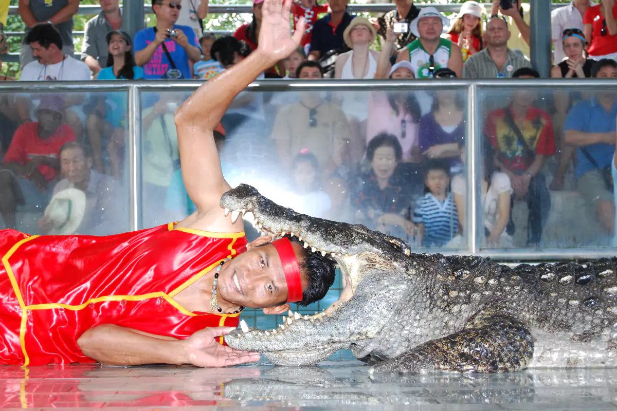 The Million Years Stone Park & Pattaya Crocodile Farm