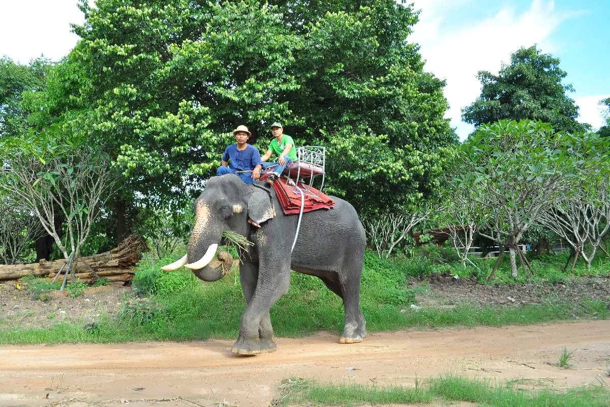 The Million Years Stone Park & Pattaya Crocodile Farm
