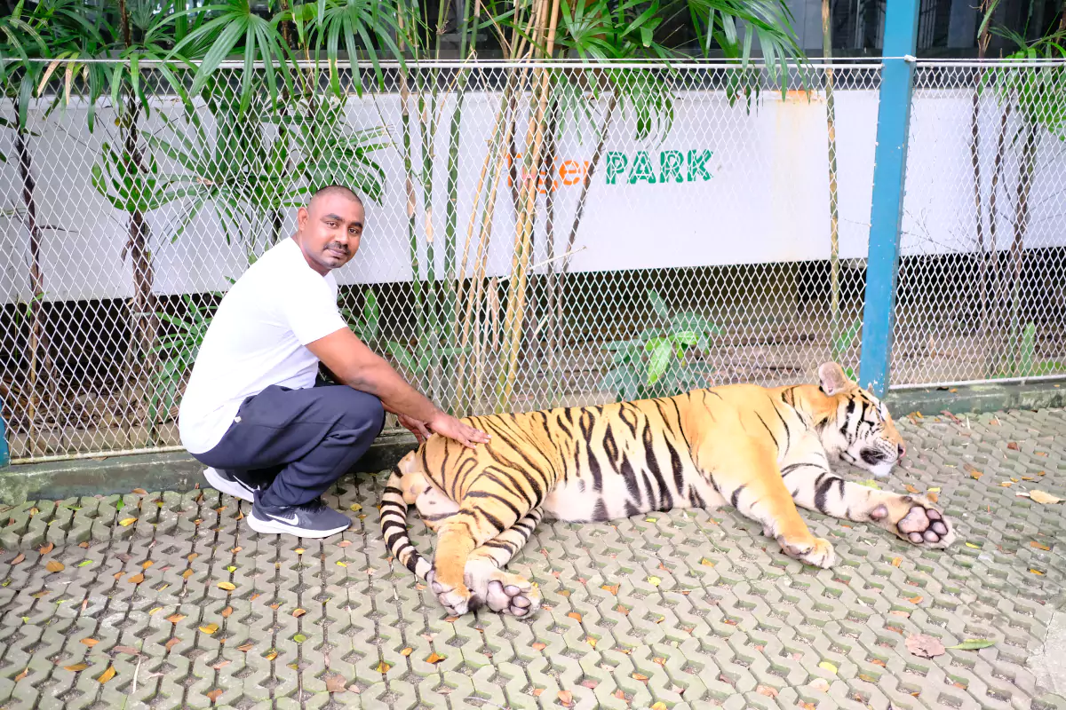 Tiger Park Pattaya-