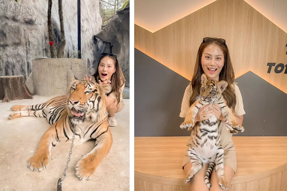 Tiger Topia Siracha Pattaya