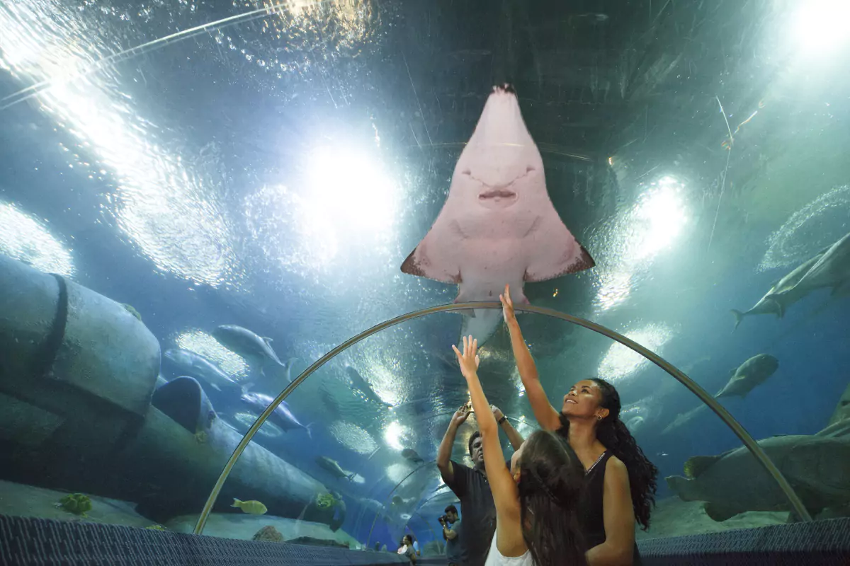 Underwater World Pattaya