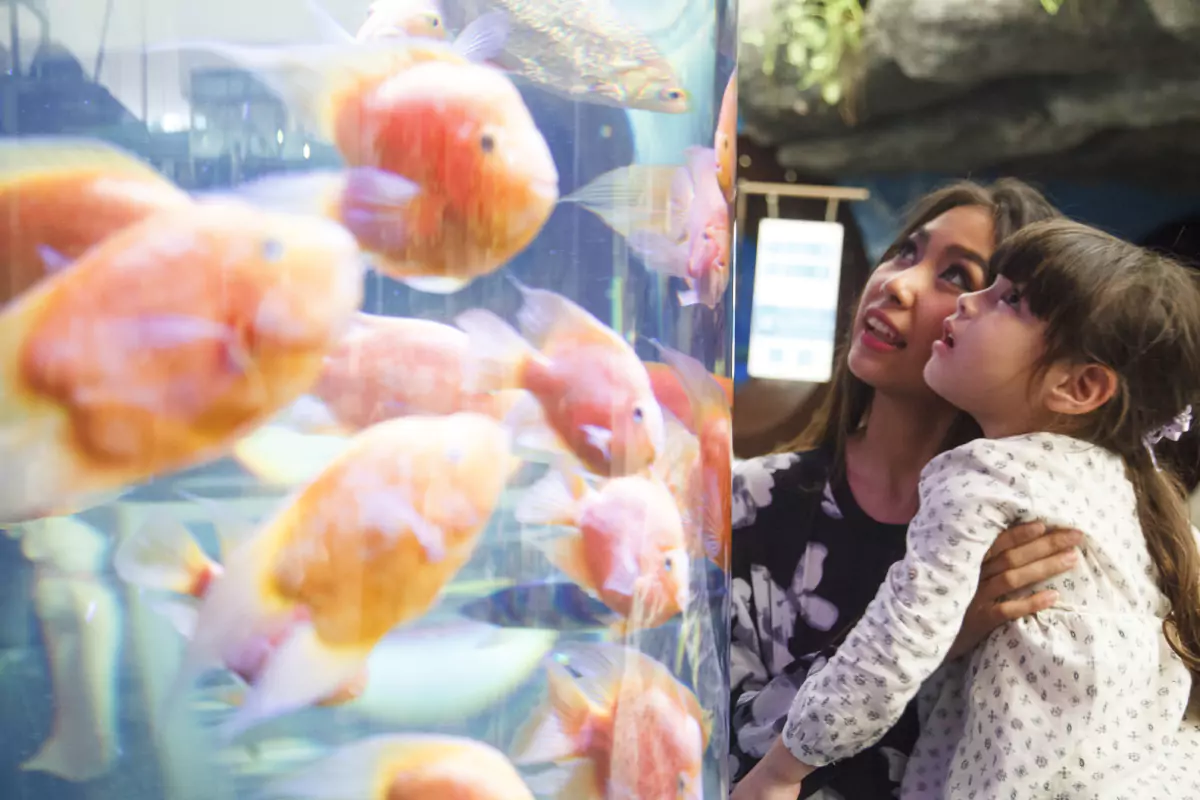Underwater World Pattaya