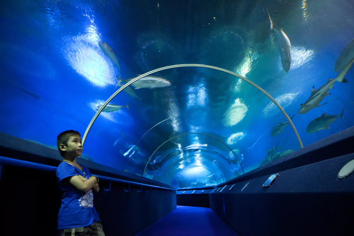 Underwater World Pattaya