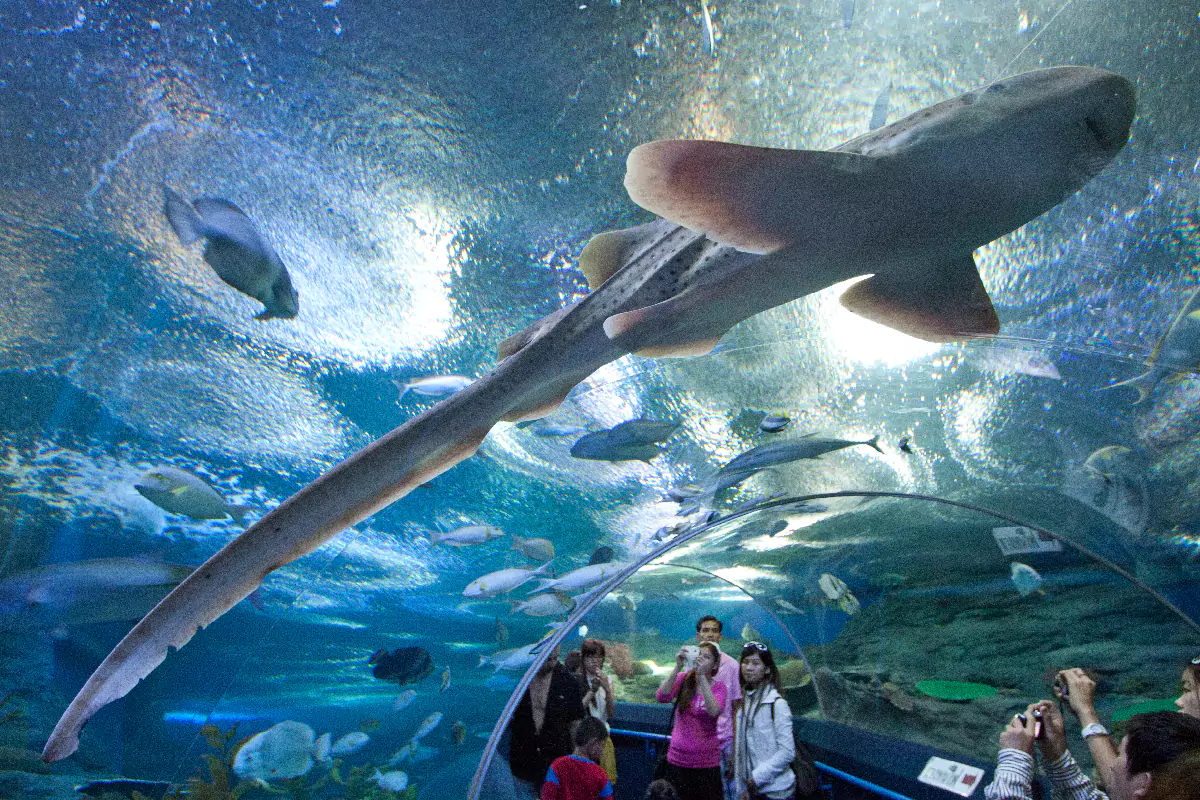 Underwater World Pattaya
