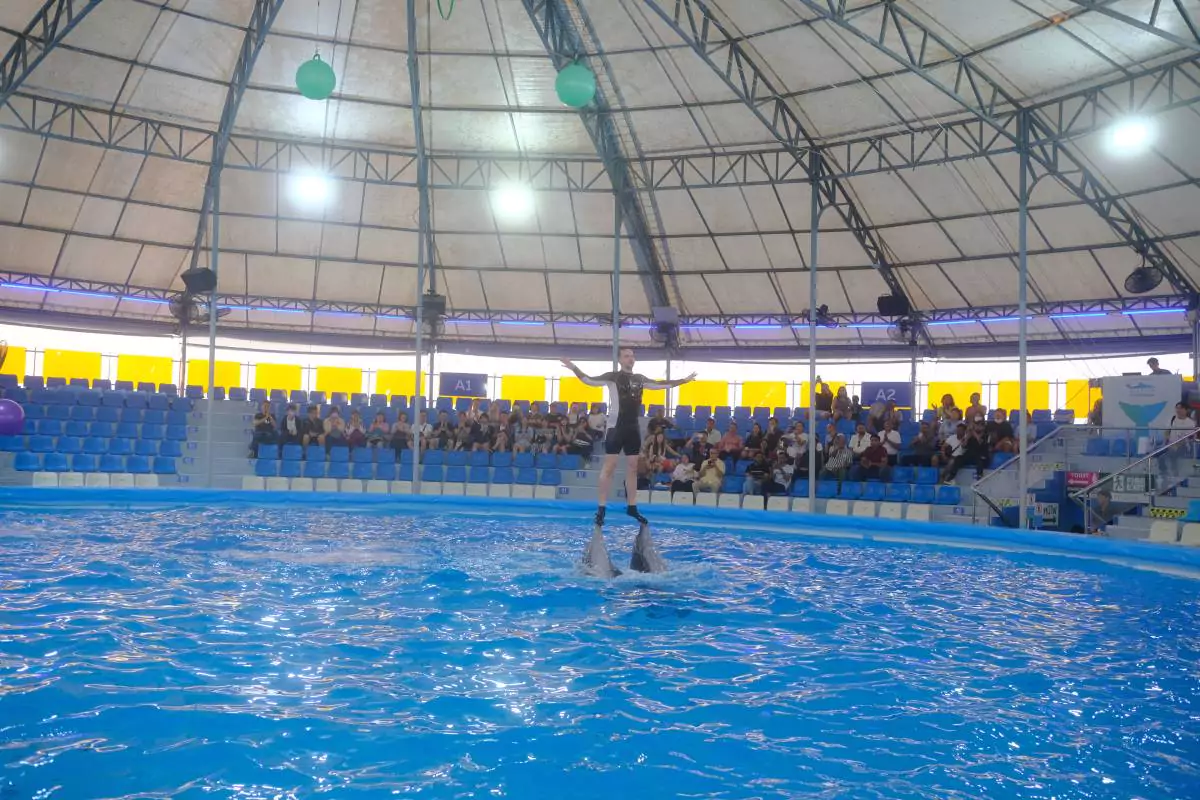 Pattaya Dolphinarium