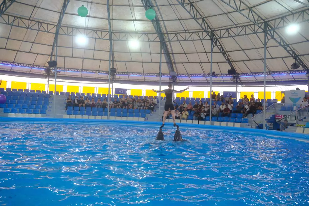 Pattaya Dolphinarium