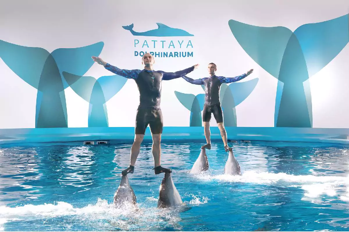 Pattaya Dolphinarium