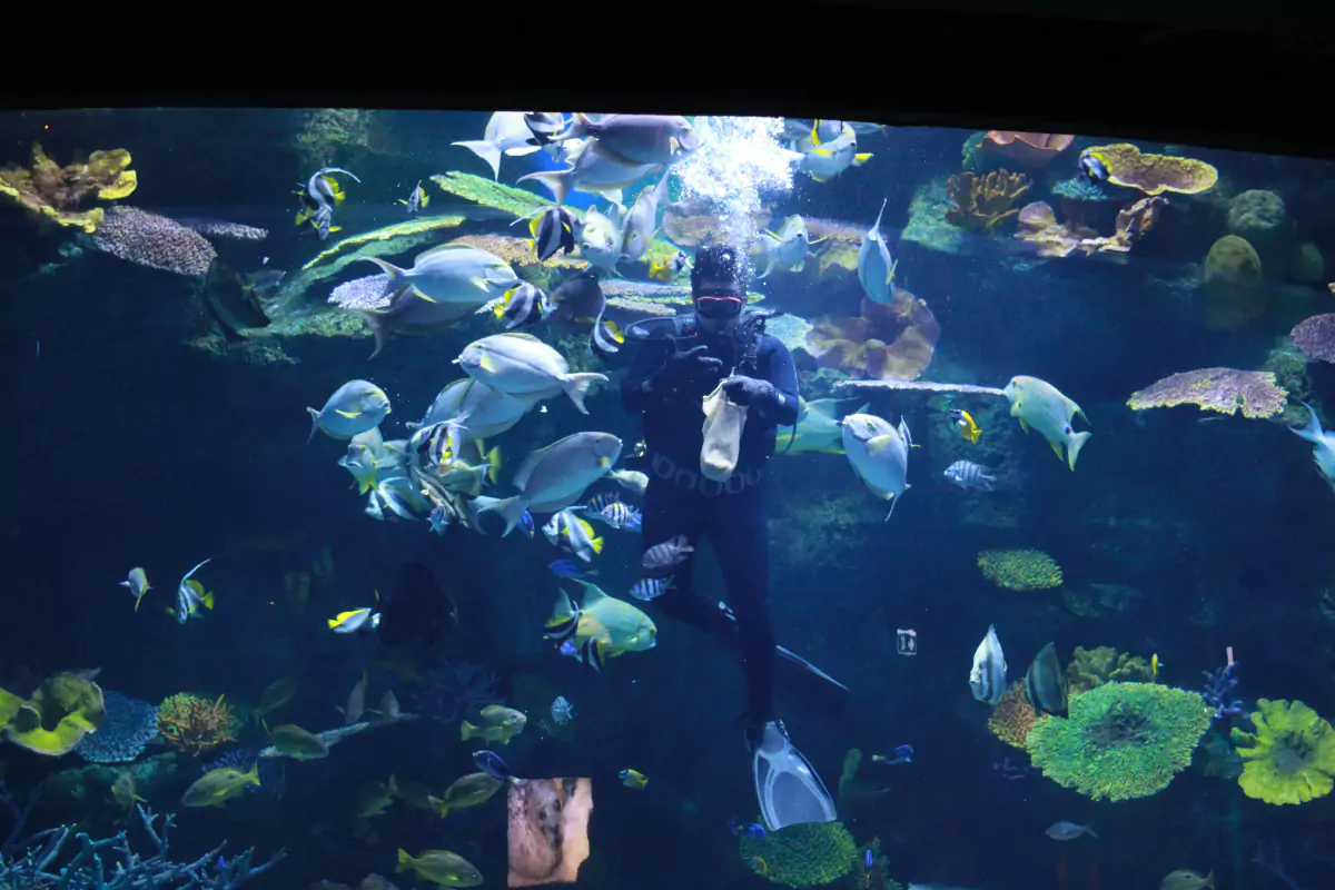 Sea Life Bangkok Ocean World