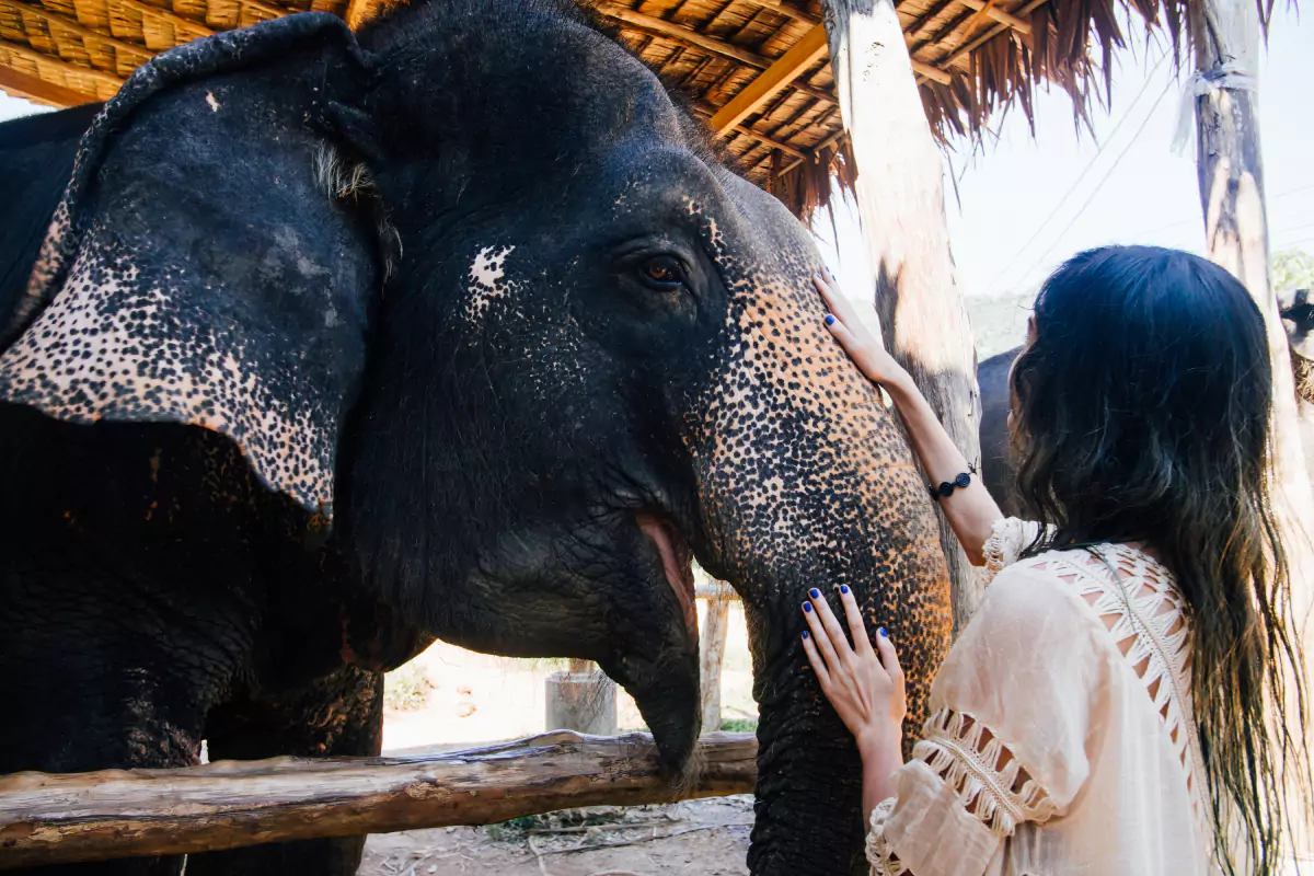 Adventure Tour Phuket