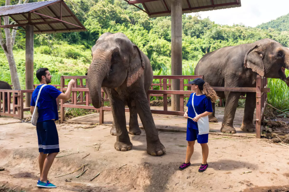 Elephant Jungle Sanctuary Phuket