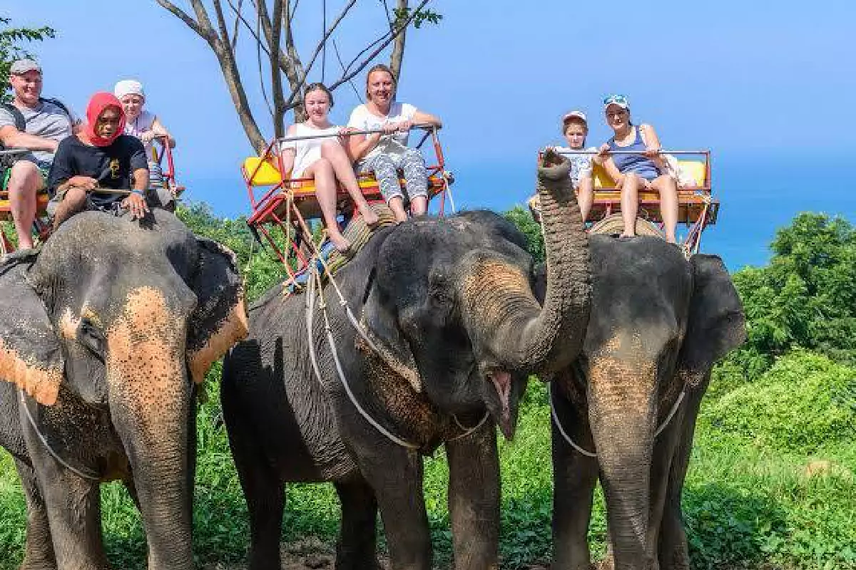 Elephant Trekking Phuket