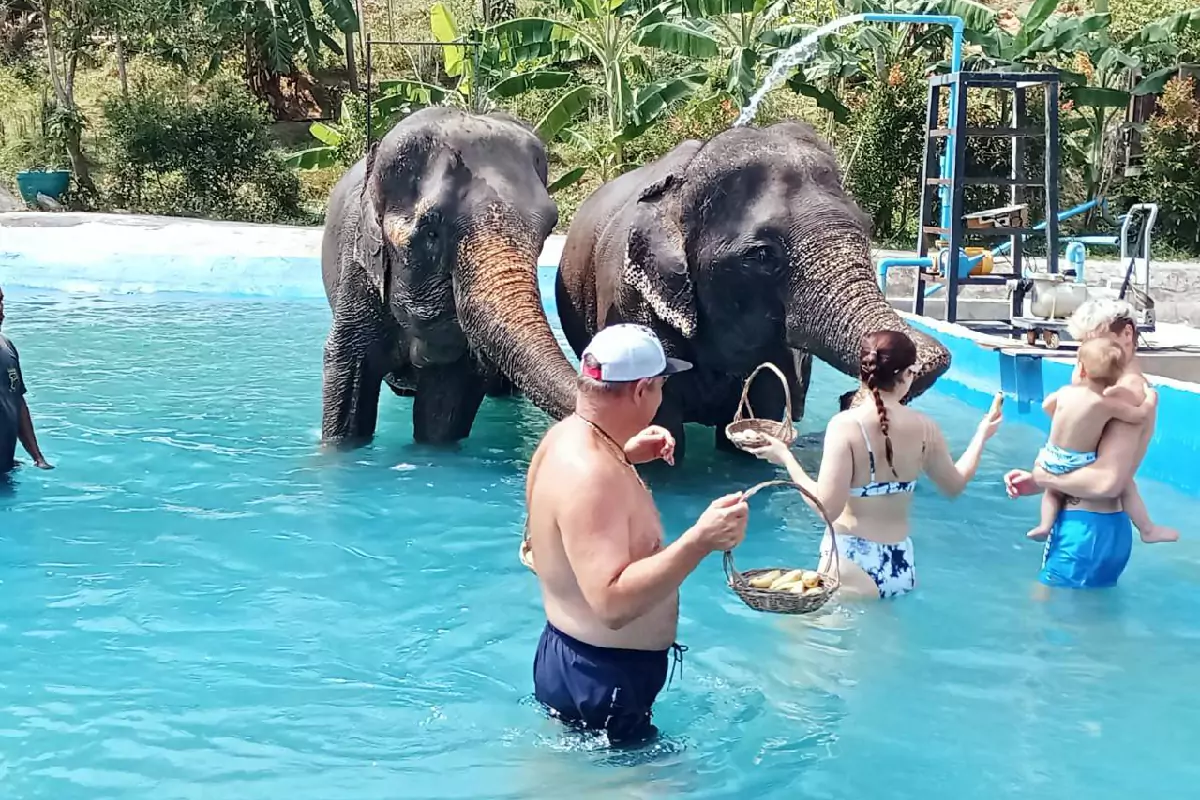 Elephant Trekking Phuket
