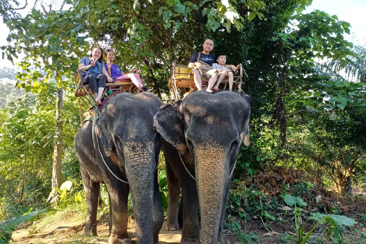 Elephant Trekking Phuket