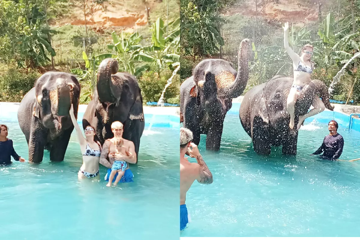 Elephant Trekking Phuket