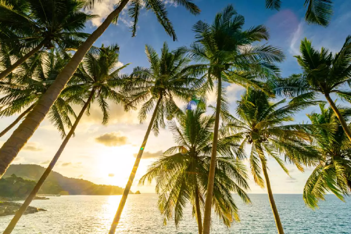 3 Khai Islands: Khai Nai, Khai Nok and Coconut Island Tour Phuket by Speedboat