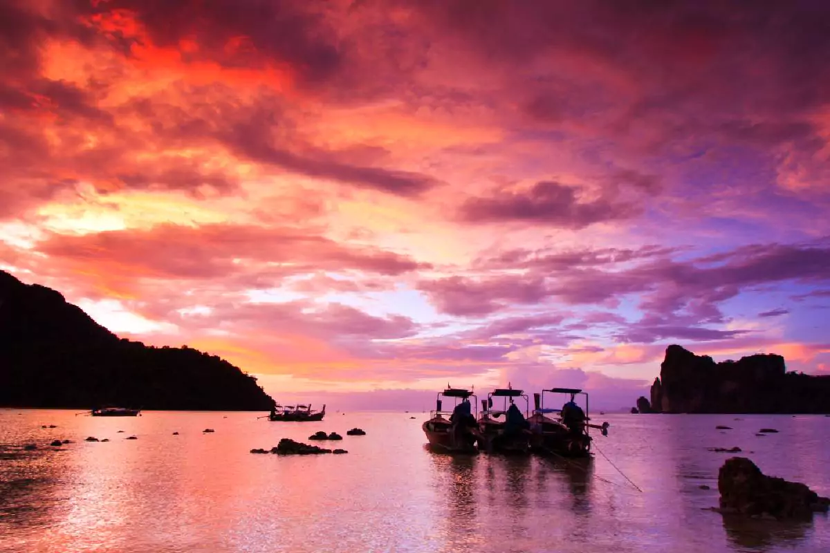 Phi Phi Island Tour Phuket & Sunset Maiton By Speed Catamaran- Ferry/Yacht