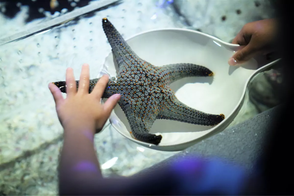 Aquaria Phuket