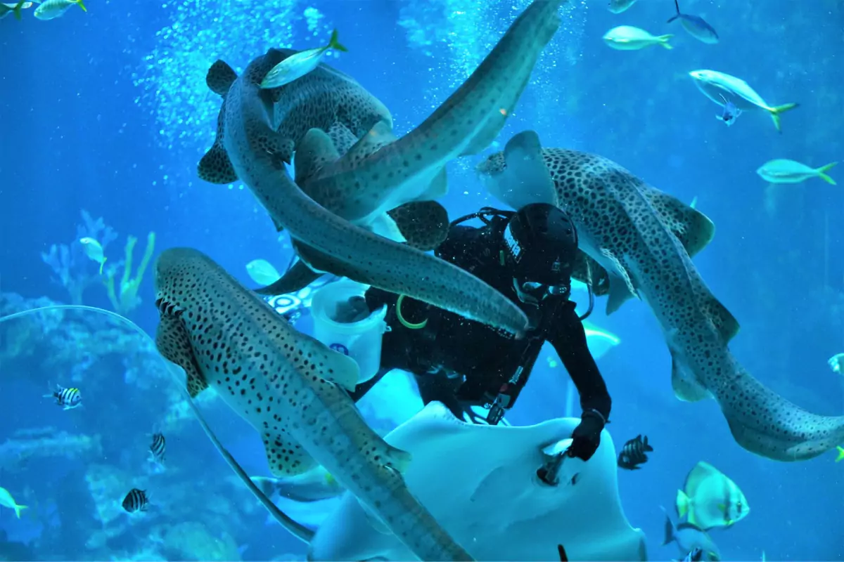 Aquaria Phuket