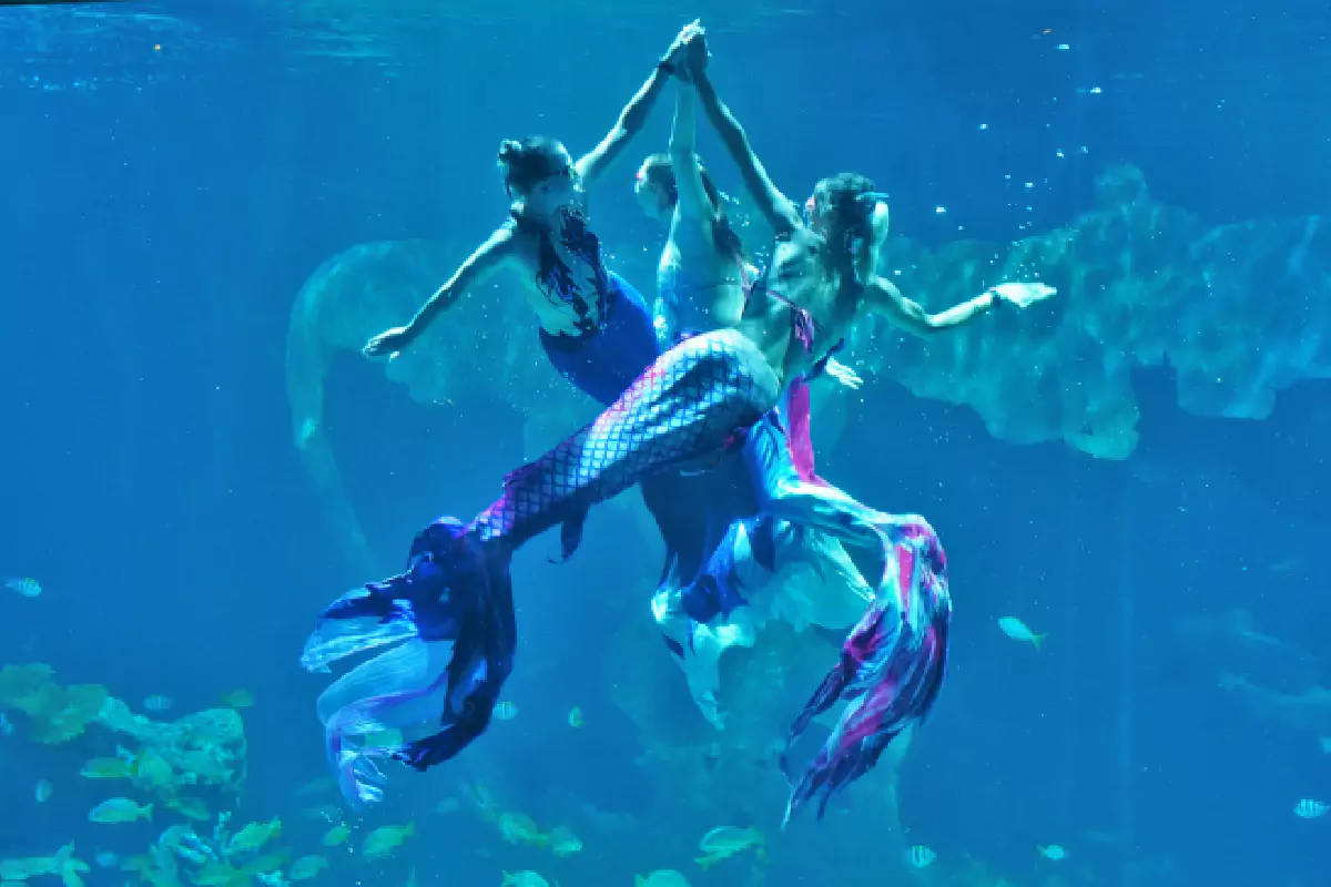 Aquaria Phuket