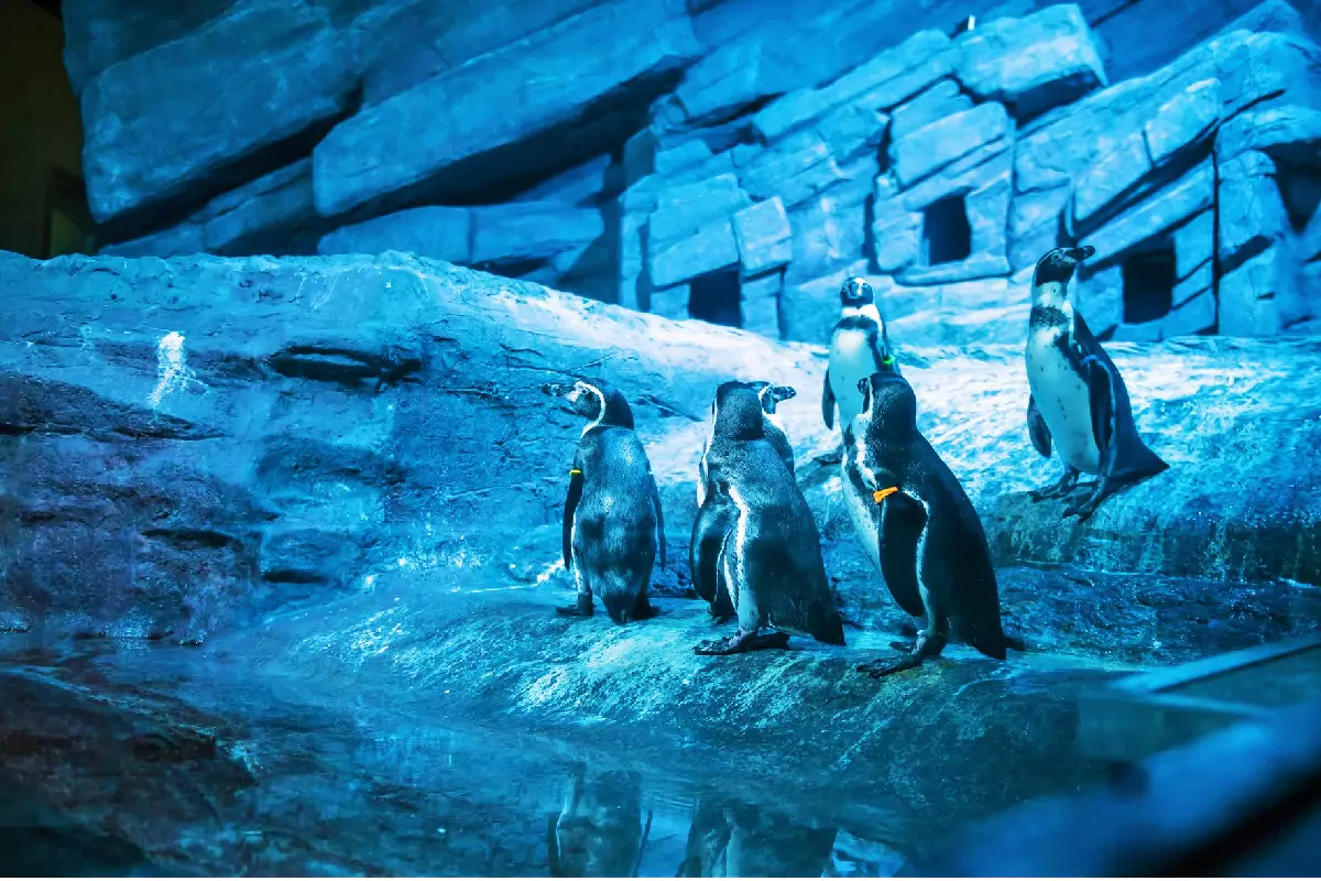 Aquaria Phuket