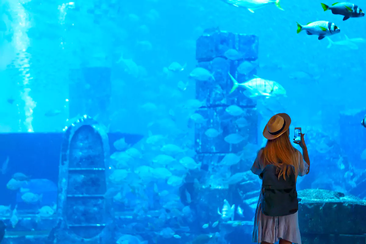 Phuket Aquarium