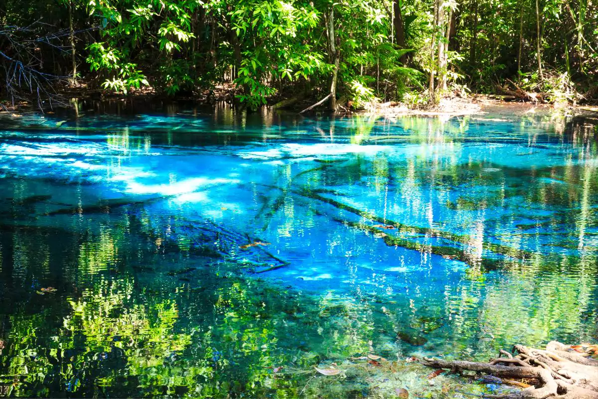 Jungle Tour Krabi