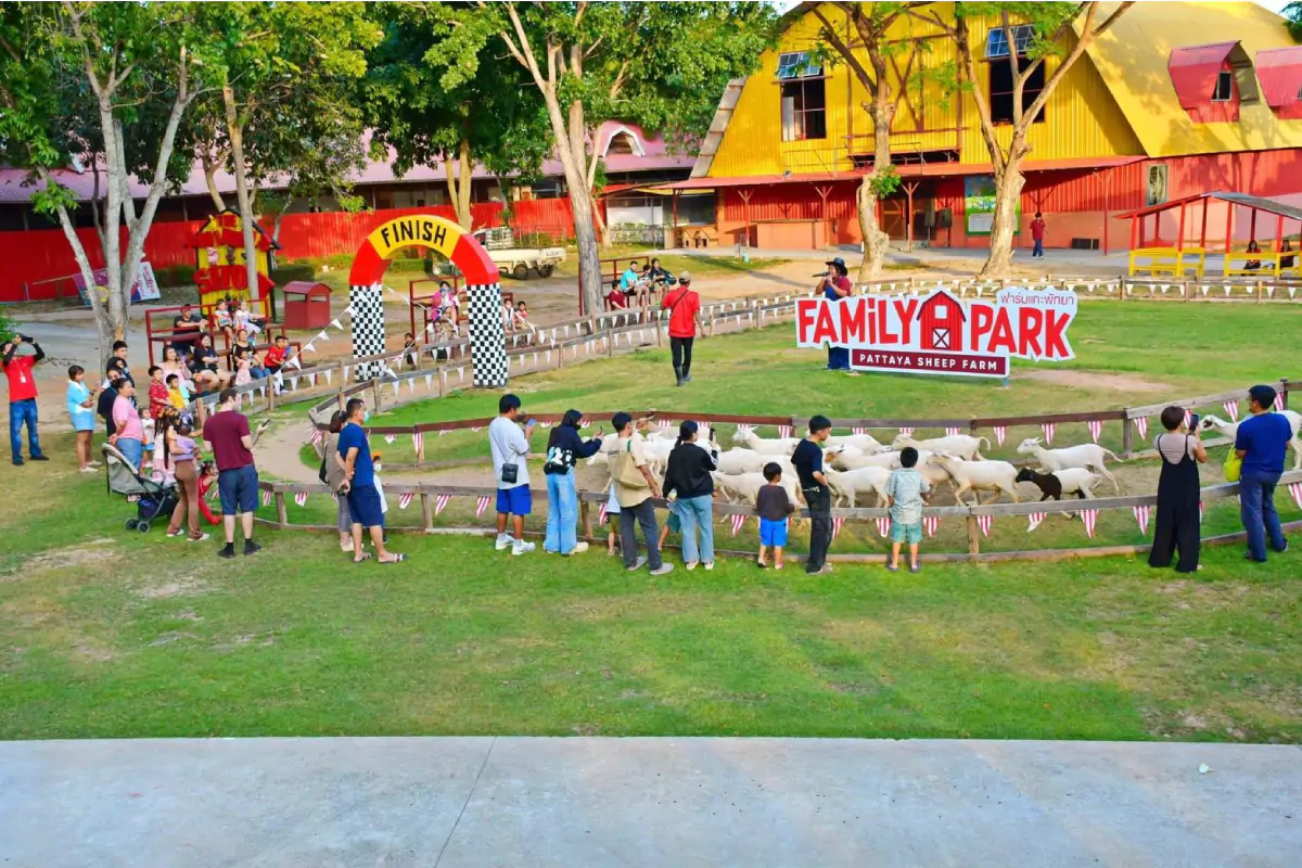 Pattaya Sheep Farm