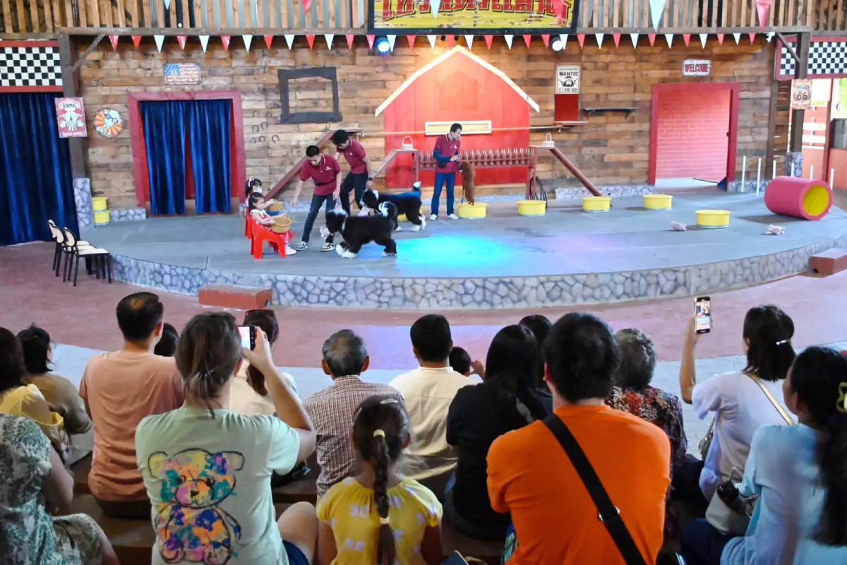 Pattaya Sheep Farm