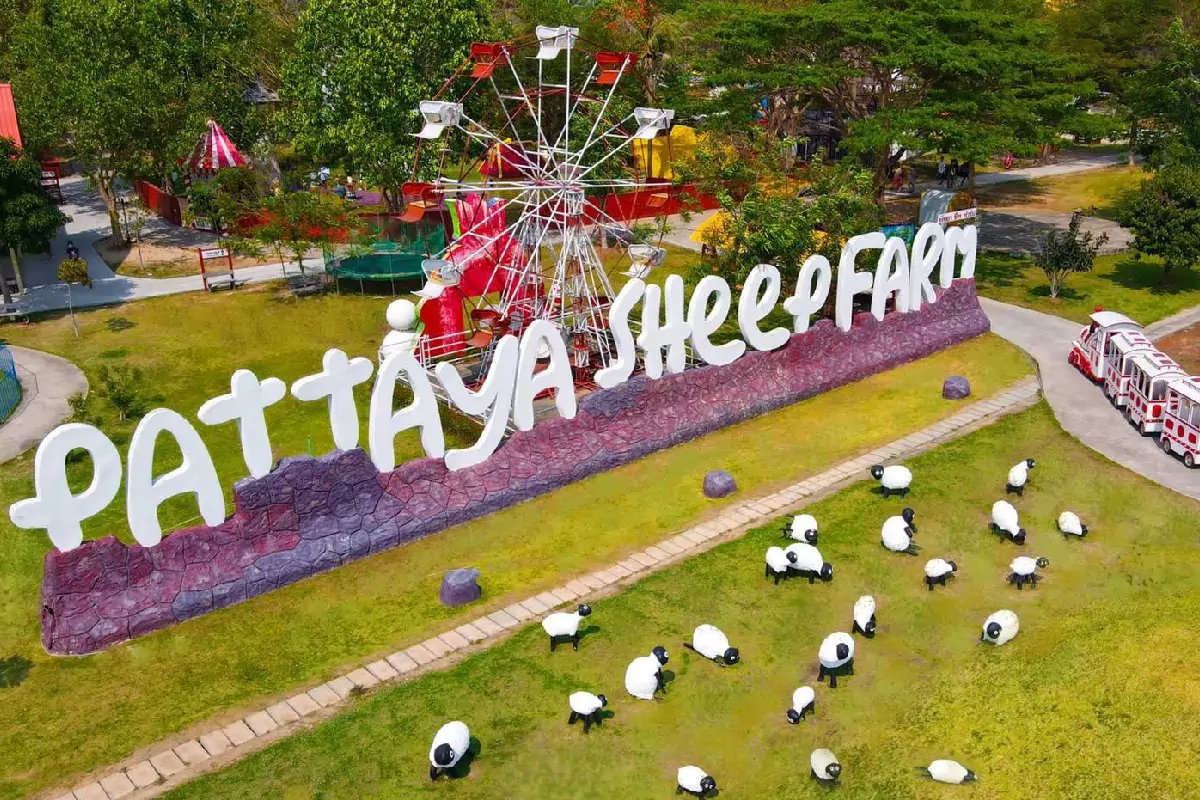 Pattaya Sheep Farm