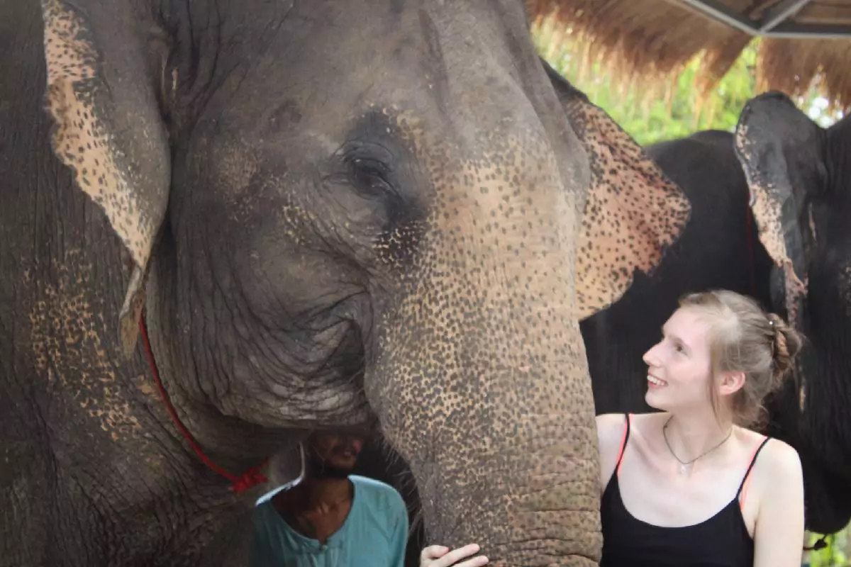 Aonang Elephant sanctuary Krabi