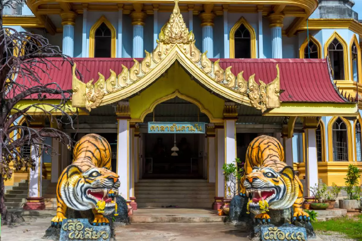 Krabi Jungle Tour with Hot Spring, Emerald Pool & Tiger Cave Temple