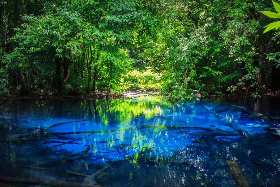 Krabi Jungle Tour with Hot Spring, Emerald Pool & Tiger Cave Temple