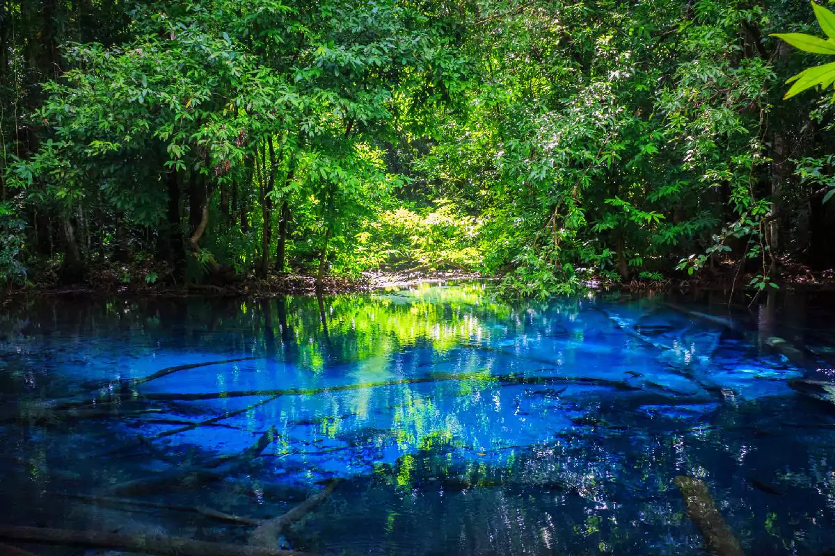 Krabi Jungle Tour with Hot Spring, Emerald Pool & Tiger Cave Temple